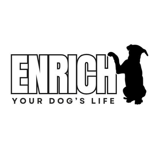 Enrich Your Dog's Life
