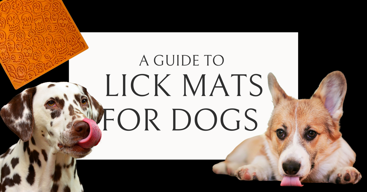 What are lick mats for dogs, showing a licking corgi and dalmatian and a sodapup zombie lick mat