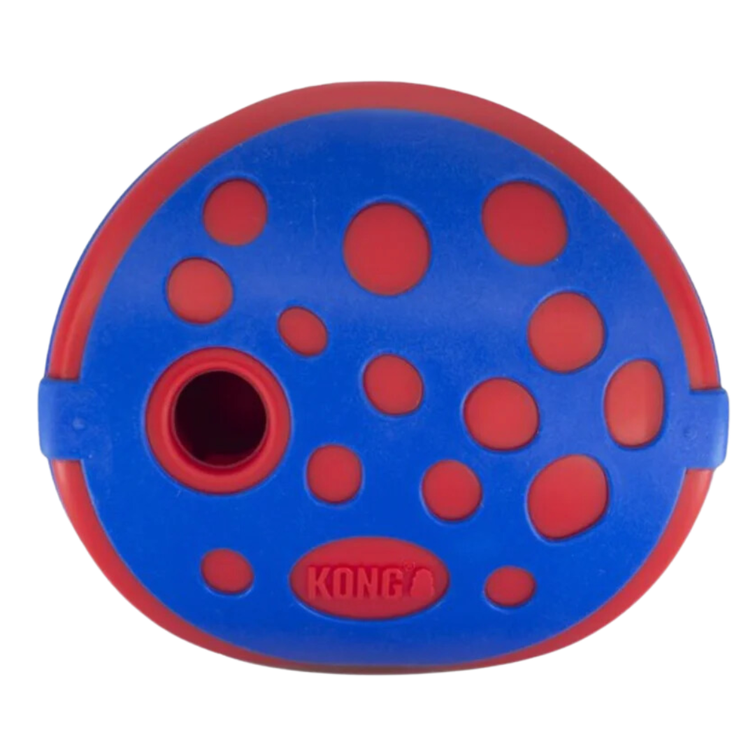 kong Treat Dispenser