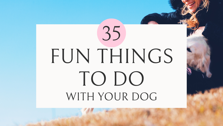 35 Fun Things to Do With Your Dog - Enrich Your Dog's Life