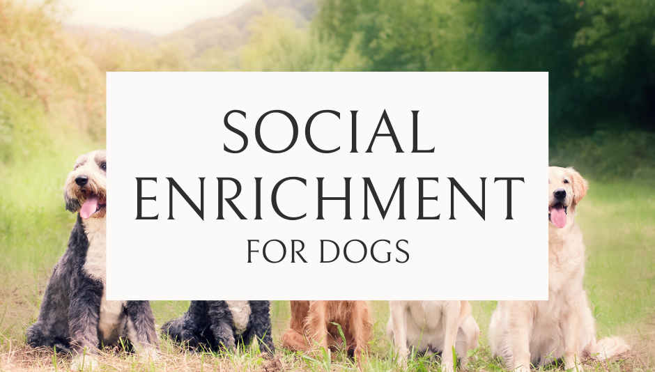 Guide to Social Enrichment