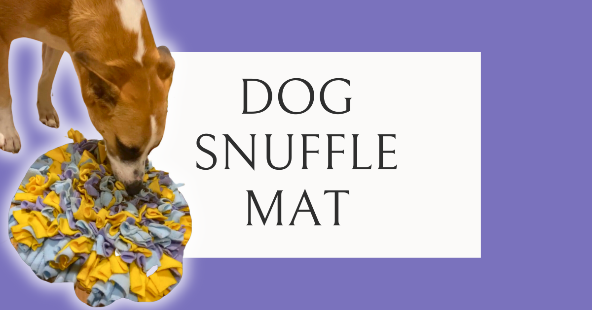 Panda, Arabian Village Dog using a Snuffle Mat