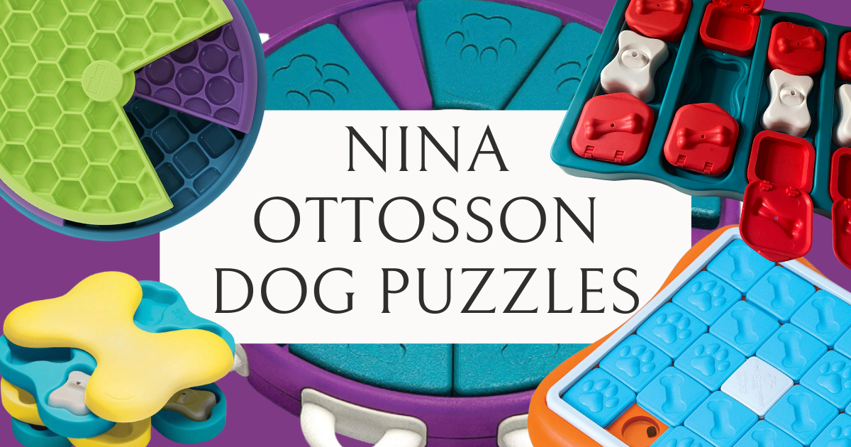 Nina Ottosson Dog Puzzles – A complete Guide
