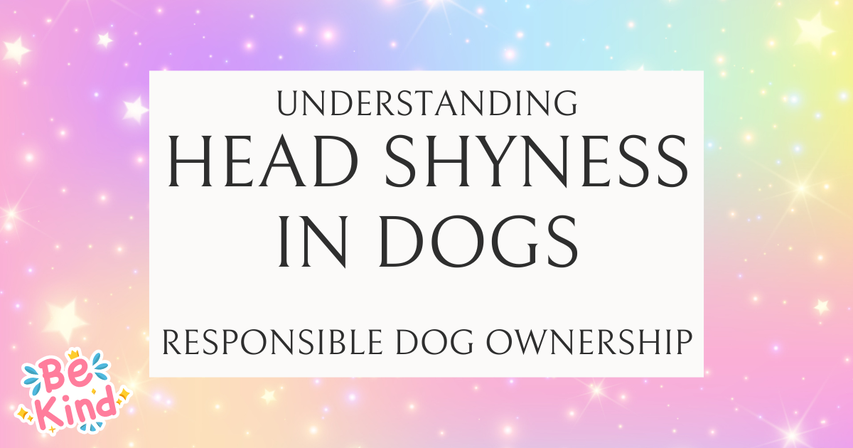Understanding “Head Shyness” and Navigating Safe Areas for Dog Touch