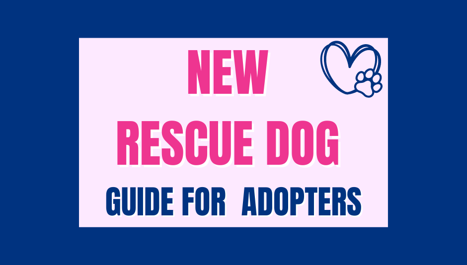 new rescue dog guide