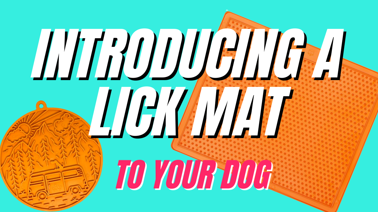 Lick Mats for Dogs – How to Use them And Prevent Chewing