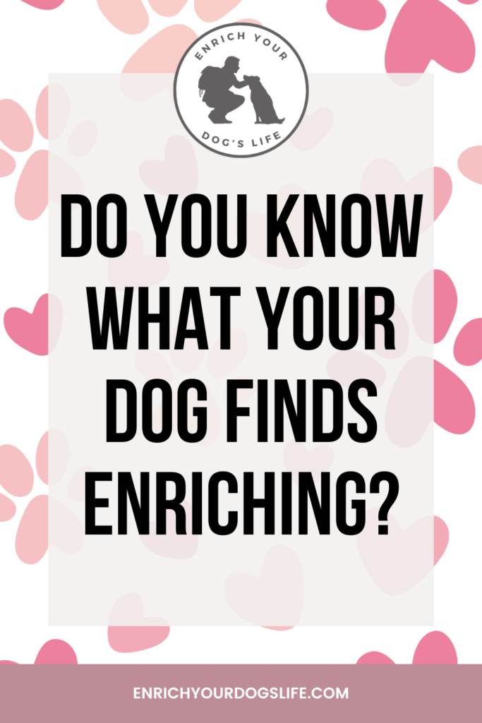 Do you know what your dog finds enriching? what does my dog like canine enrichment