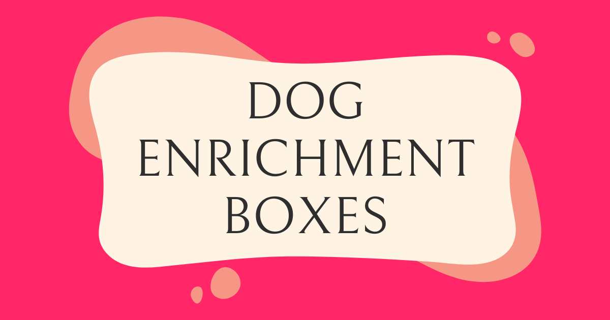 Dog Enrichment Boxes - Enrich Your Dog's Life | Canine Enrichment