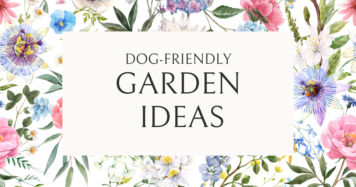 How to Create a Sensory Garden for your Dog | 7 Tips
