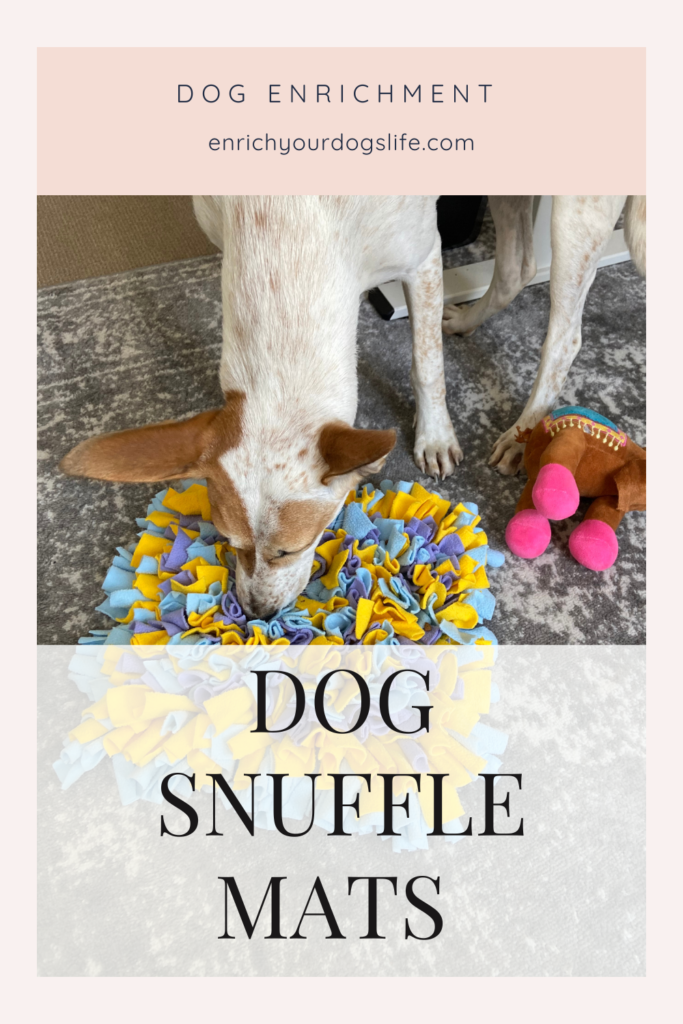 Dog Snuffle Mats