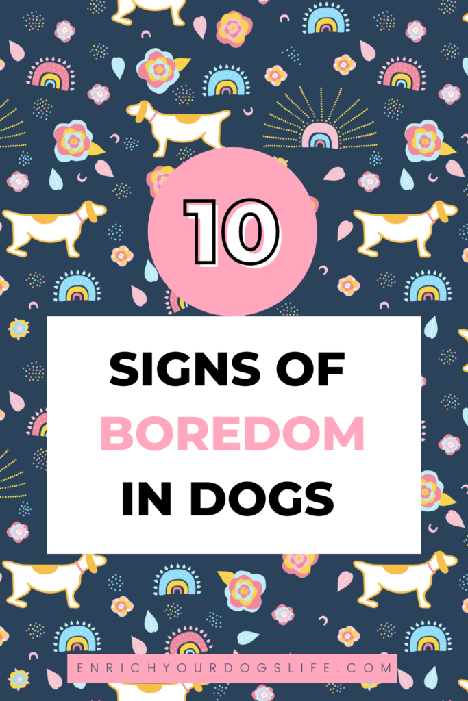 10 Signs of Boredom in Dogs