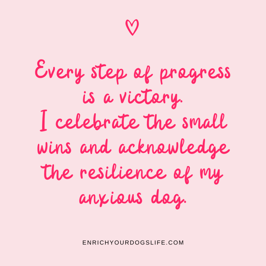 Every step of progress is a victory. I celebrate the small wins and acknowledge the resilience of my anxious dog