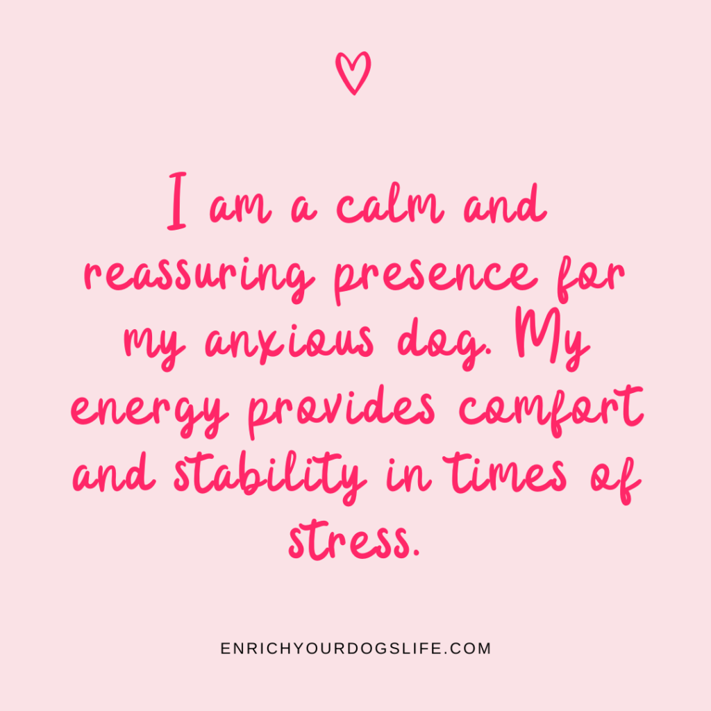 I am a calm and reassuring presence for my anxious dog. My energy provides comfort and stability in times of stress