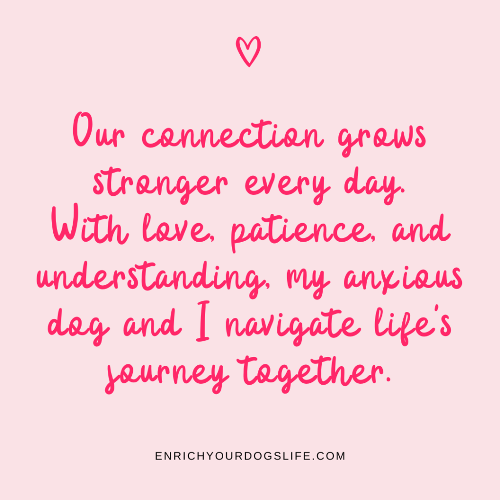 Our connection grows stronger every day. With love, patience, and understanding, my anxious dog and I navigate life's journey together.