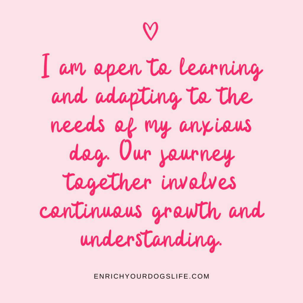 I am open to learning and adapting to the needs of my anxious dog. Our journey together involves continuous growth and understanding