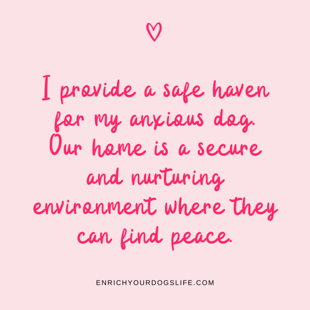 I provide a safe haven for my anxious dog. Our home is a secure and nurturing environment where they can find peace
