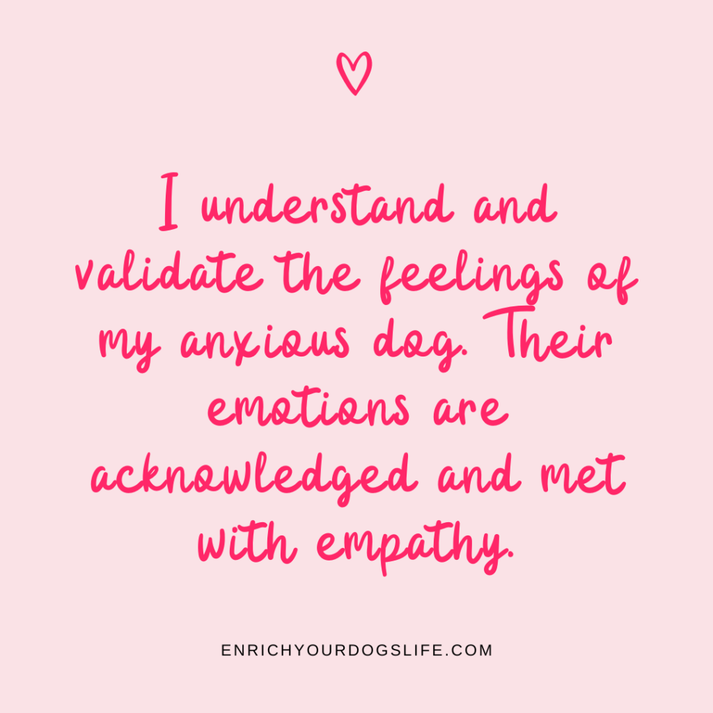 I understand and validate the feelings of my anxious dog. Their emotions are acknowledged and met with empathy