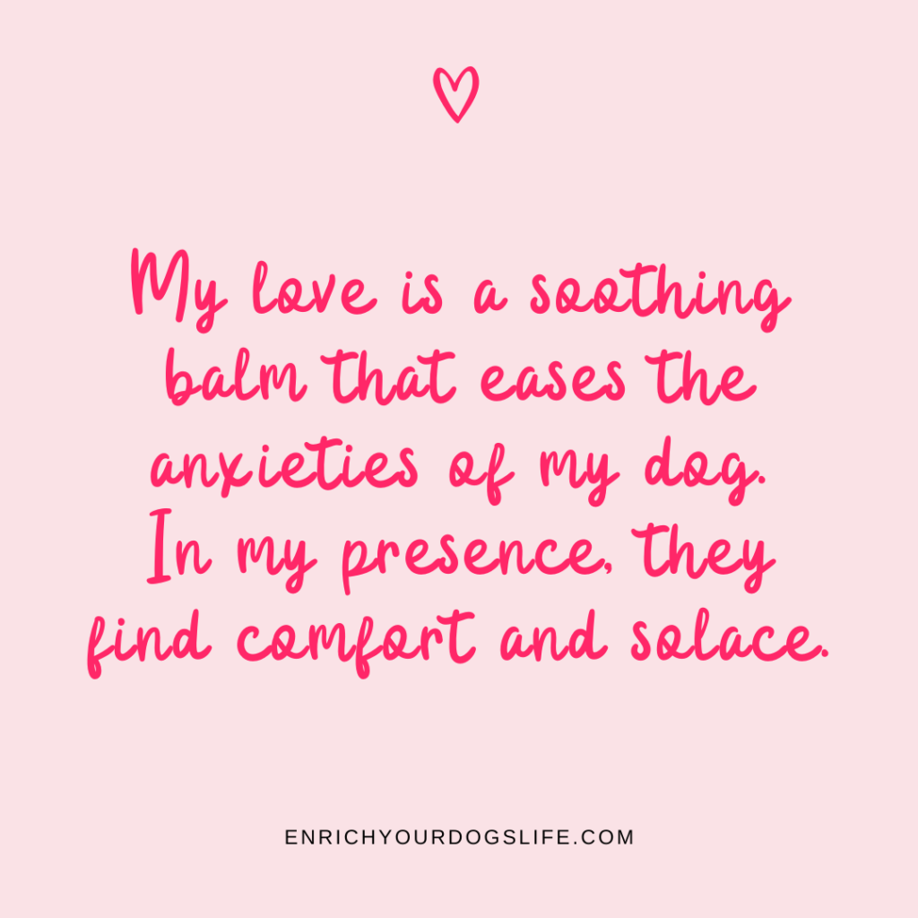 My love is a soothing balm that eases the anxieties of my dog. In my presence, they find comfort and solace