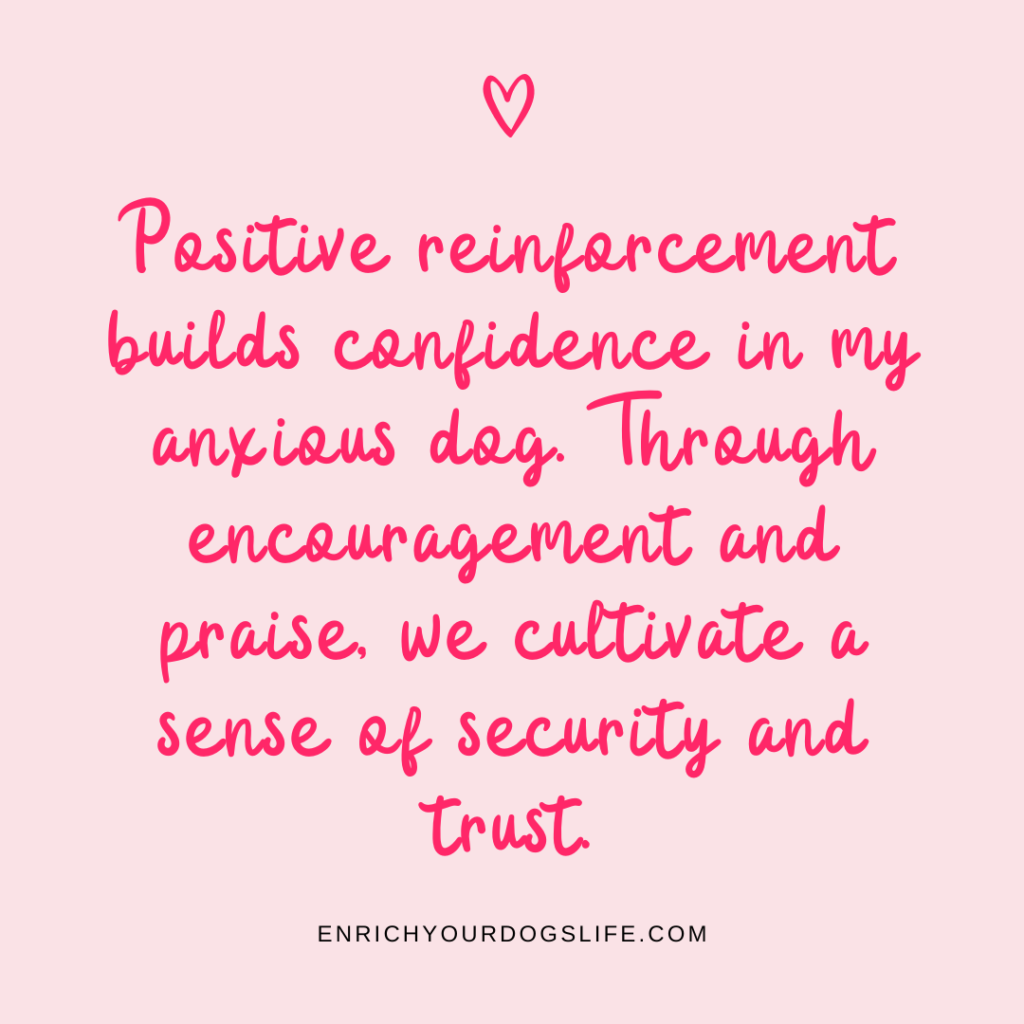 Positive reinforcement builds confidence in my anxious dog. Through encouragement and praise, we cultivate a sense of security and trust