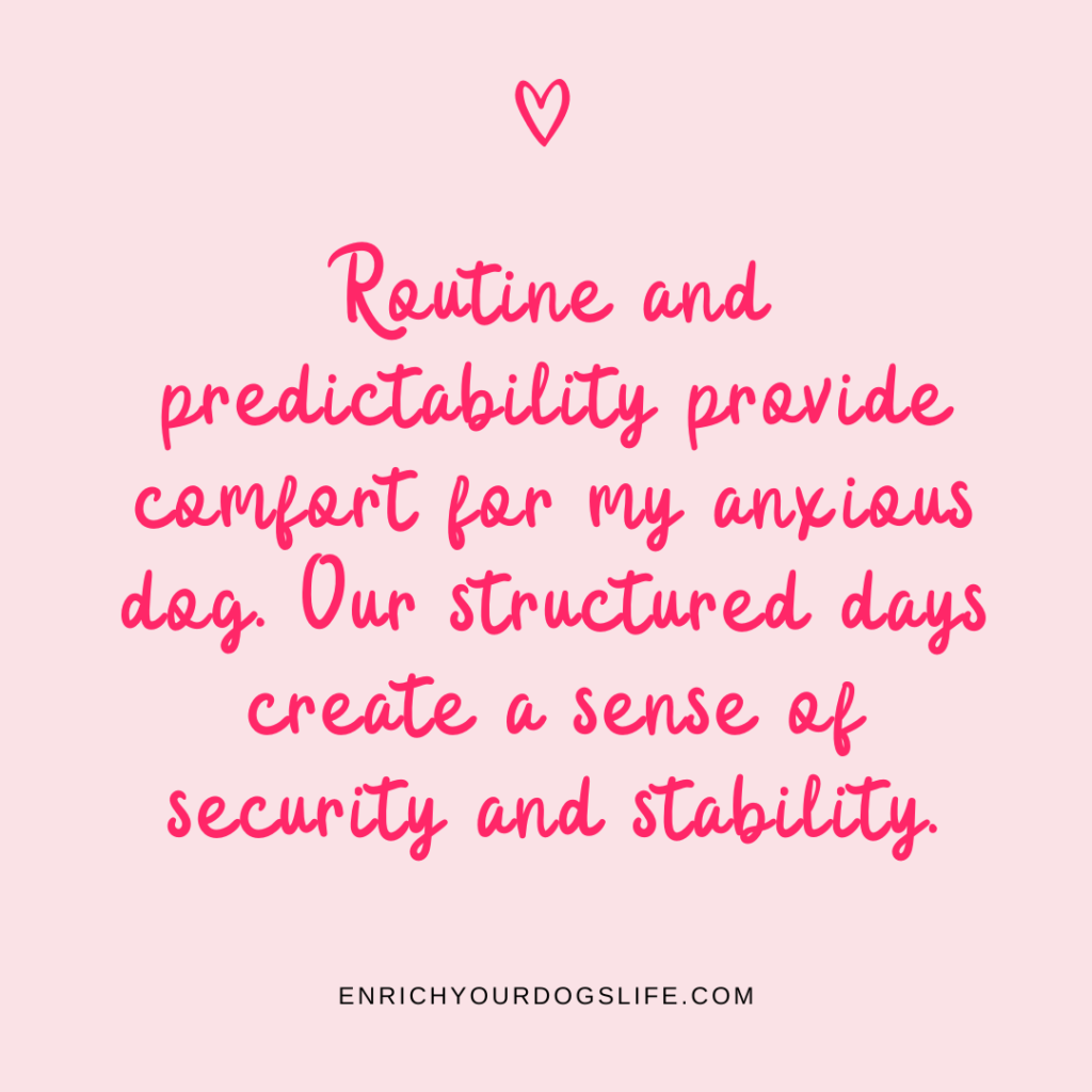 Routine and predictability provide comfort for my anxious dog. Our structured days create a sense of security and stability