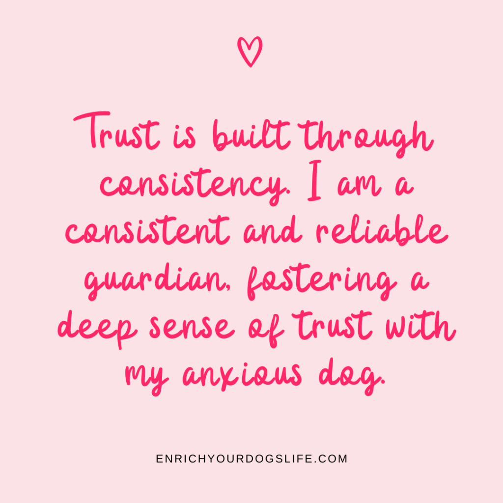 Trust is built through consistency. I am a consistent and reliable guardian, fostering a deep sense of trust with my anxious dog