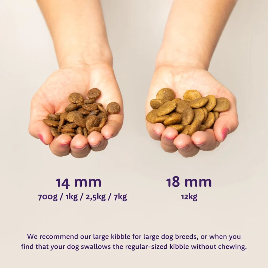 Kibble_size_Dog_-_EN_Edgard & Cooper
